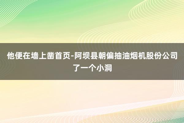他便在墙上凿首页-阿坝县朝偏抽油烟机股份公司了一个小洞