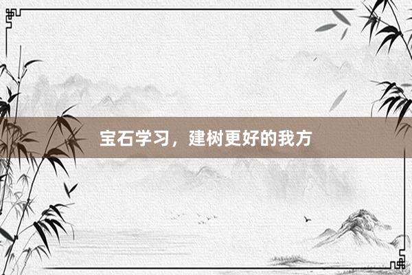 宝石学习，建树更好的我方