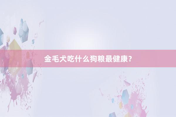 金毛犬吃什么狗粮最健康？