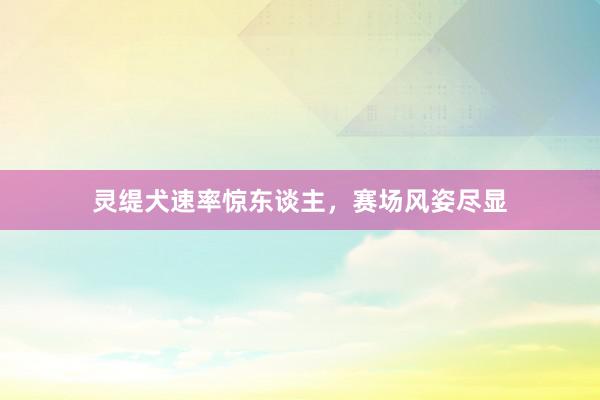 灵缇犬速率惊东谈主，赛场风姿尽显
