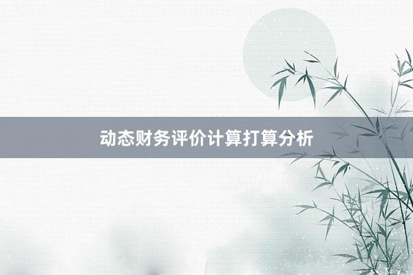 动态财务评价计算打算分析